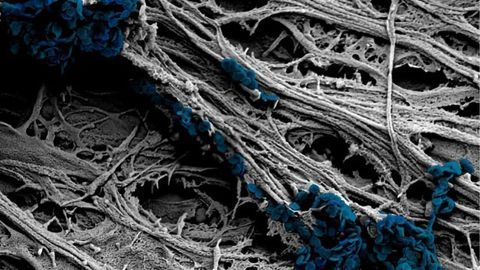 A New Method for Stimulating Neurons