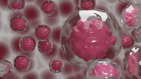 Regulating an Immune Regulator - Revealed