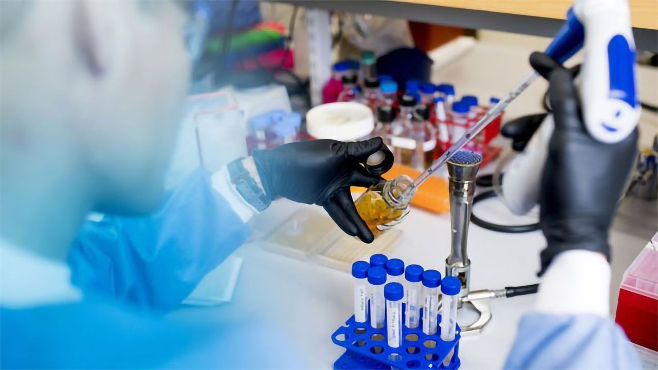 Ultra-Small, Parasitic Bacteria Found in Incredibly Diverse Environments