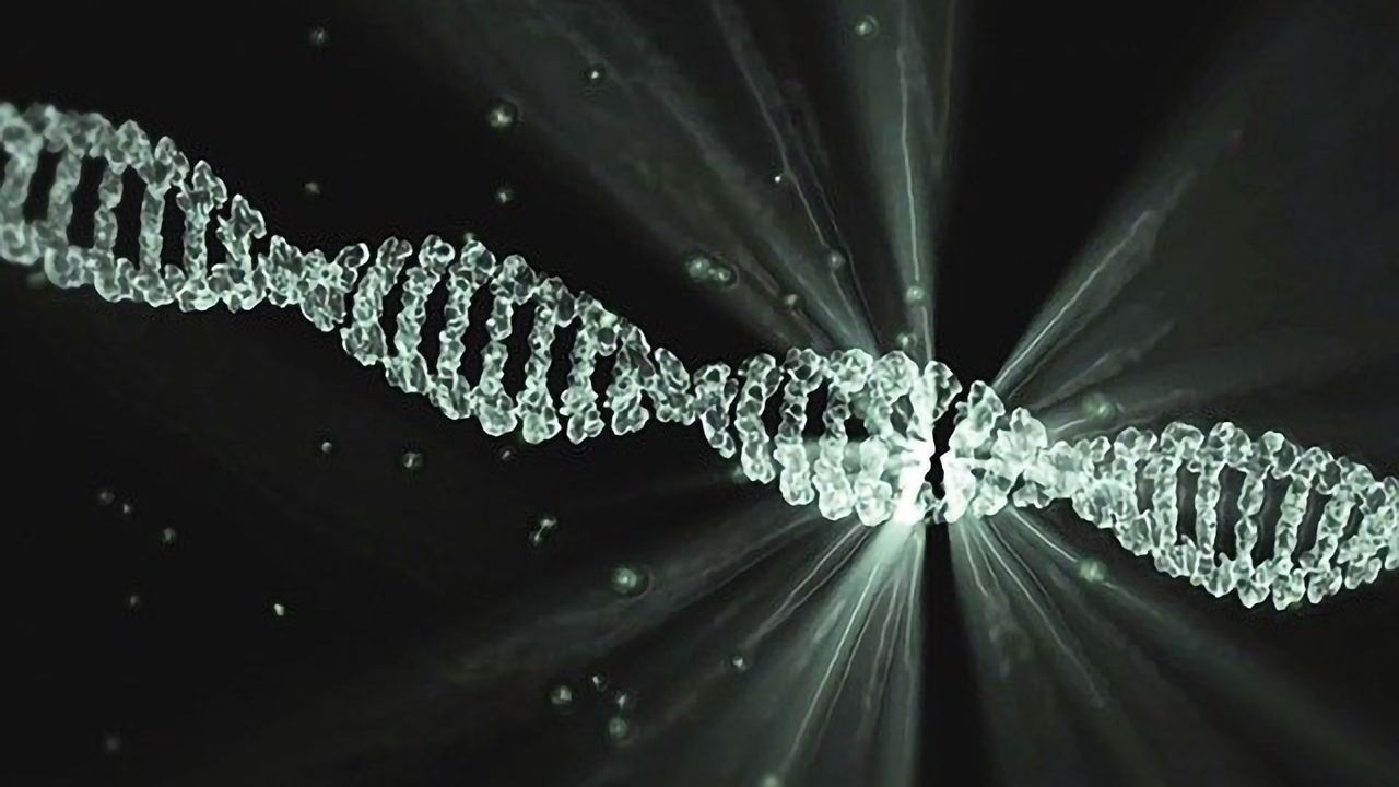 Junk DNA Might Be Incredibly Useful for Biocomputing