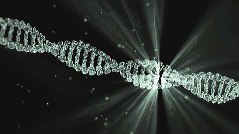Junk DNA Might Be Incredibly Useful for Biocomputing
