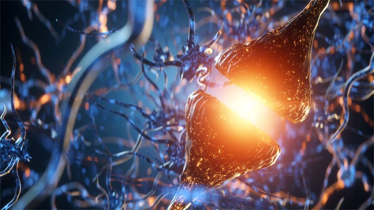 “Love Hormone” Could Be Used to Treat Alzheimer’s