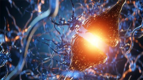 “Love Hormone” Could Be Used to Treat Alzheimer’s