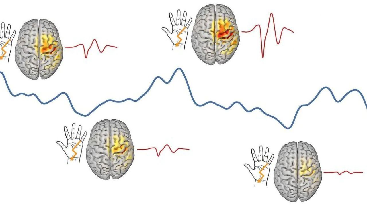 Why the Brain Never Processes the Same Input in the Same Way