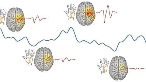 Why the Brain Never Processes the Same Input in the Same Way