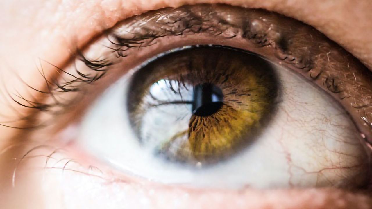 Molecule of Inflammation Also Puts on the Brakes in Autoimmune Eye Disease