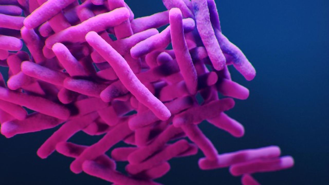 Cell Profiling Method Set To Accelerate Discovery of Drugs for Tuberculosis