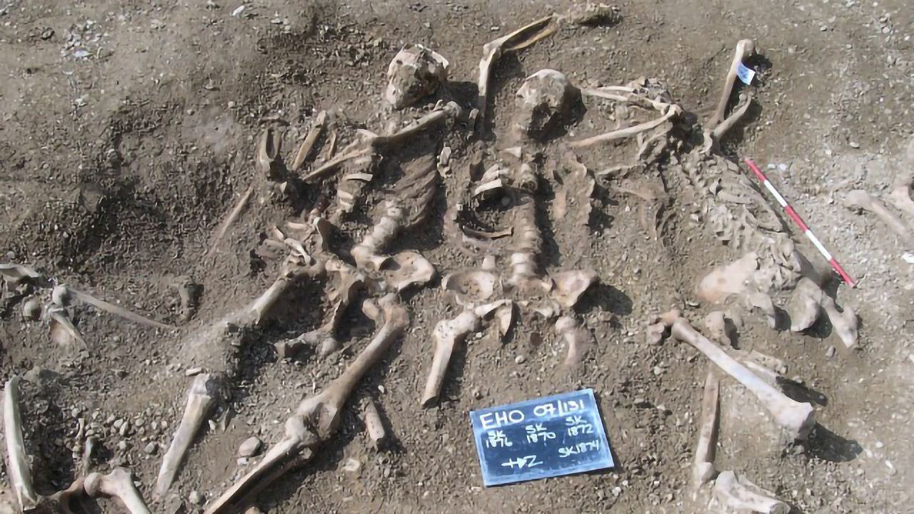 Even the Vikings Had Smallpox