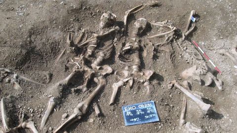 Even the Vikings Had Smallpox