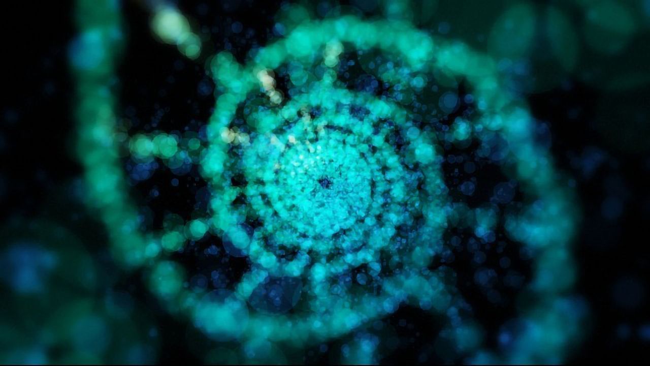 "Technology Dance" Looks Set To Transform the Field of DNA Synthesis