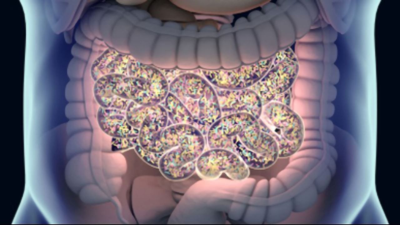 Rely On Gut Feelings? New Research Identifies How Second Brain in Gut Communicates