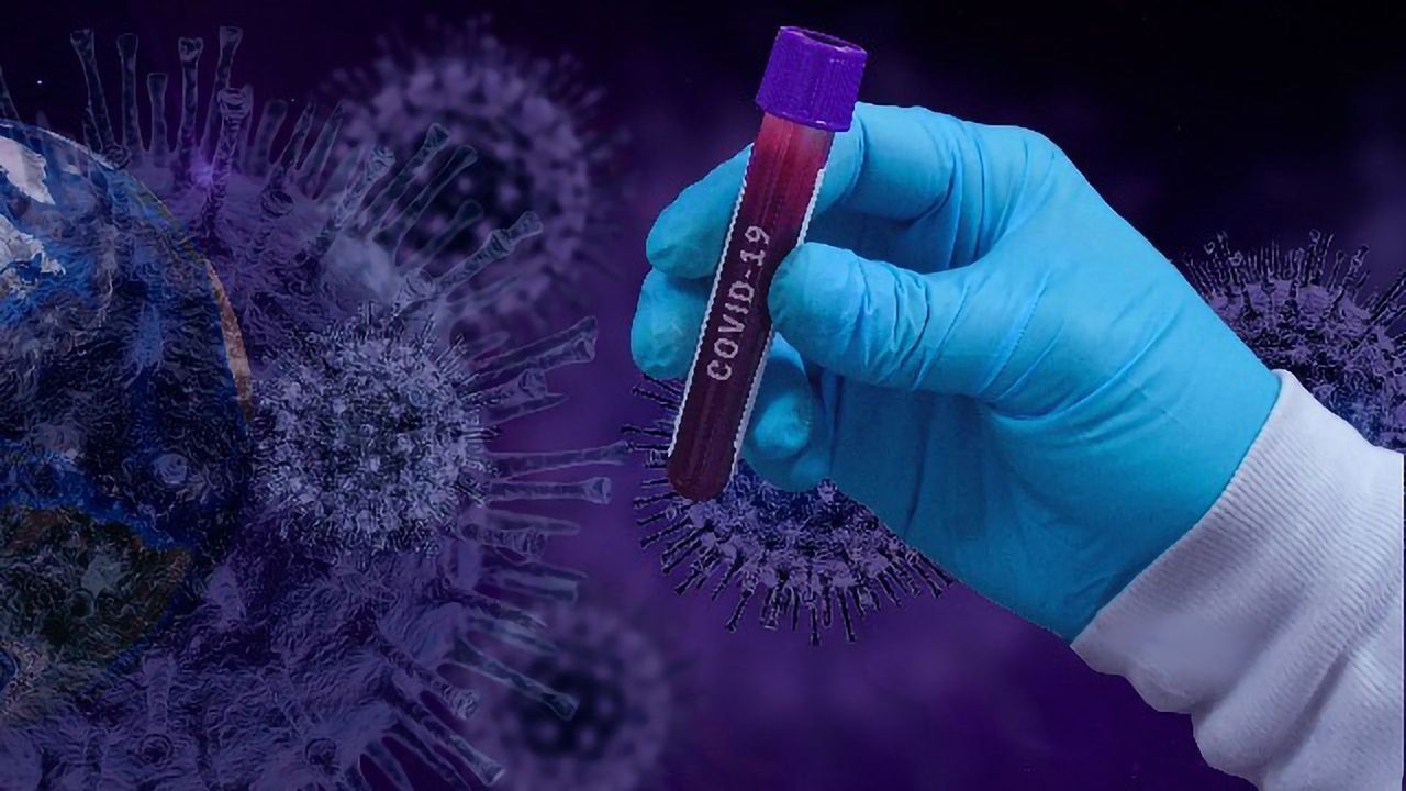 Database Offers Access to 200 Million Immune Sequences From COVID-19 Patients
