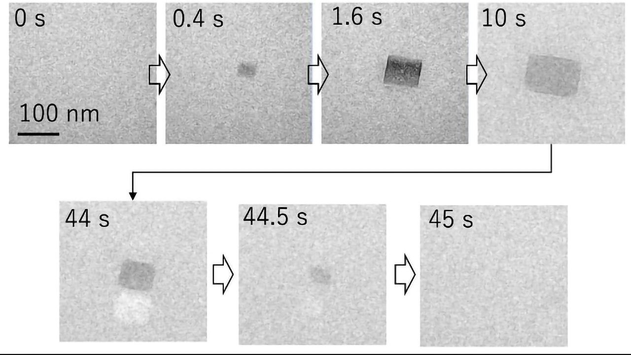 Temporary Salt Crystals May Provide a Permanent Solution to Alzheimer's, New Study Suggests