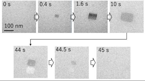 Temporary Salt Crystals May Provide a Permanent Solution to Alzheimer's, New Study Suggests