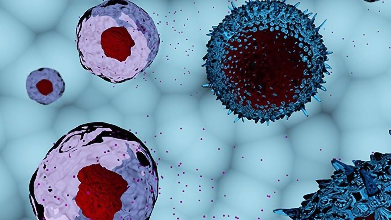 Tailored Solutions for Exosome-related Research