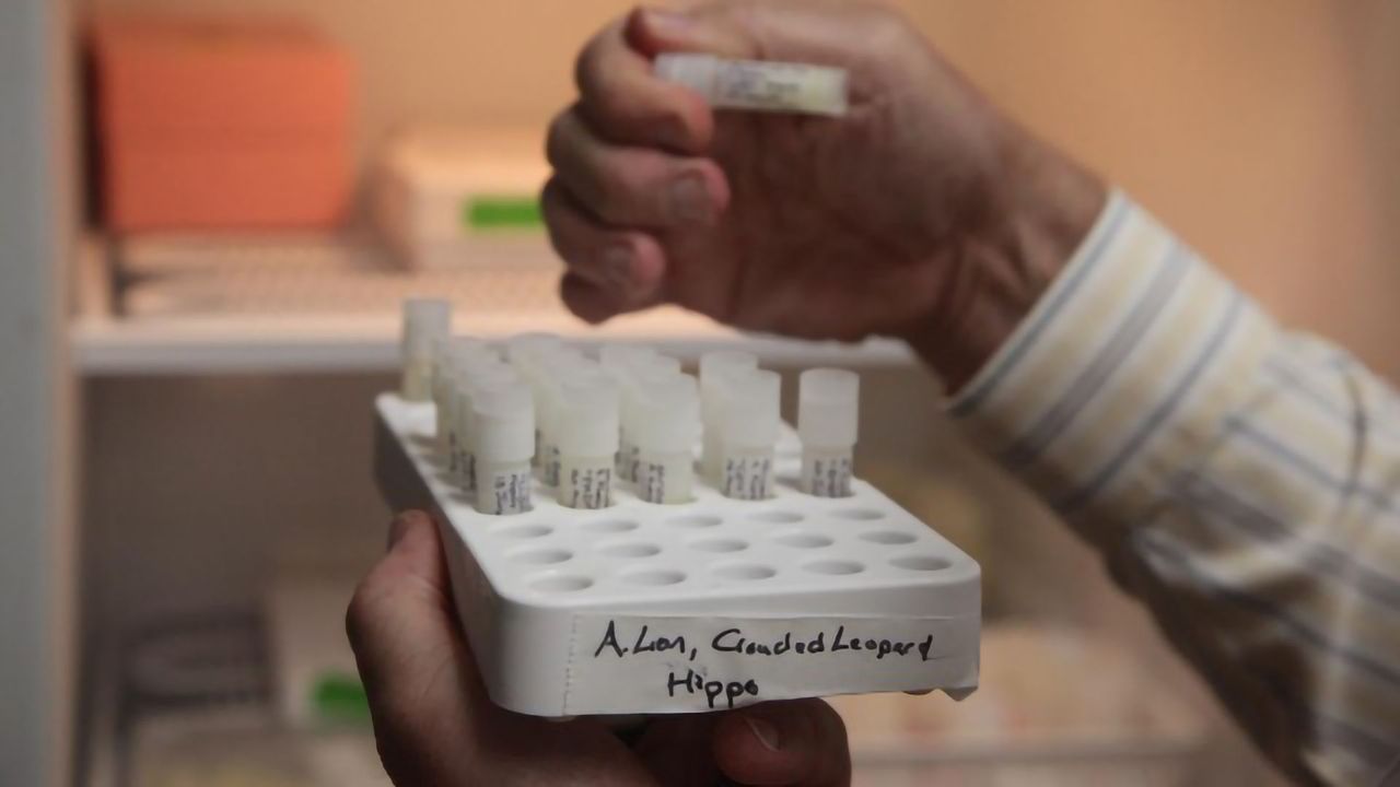 Database Doubled To Help Identify Unknown Compounds in Milk