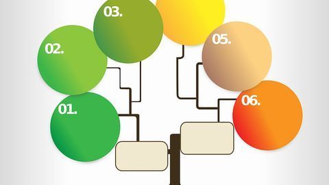 Evolutionary Origins of SARS-CoV-2 Identified