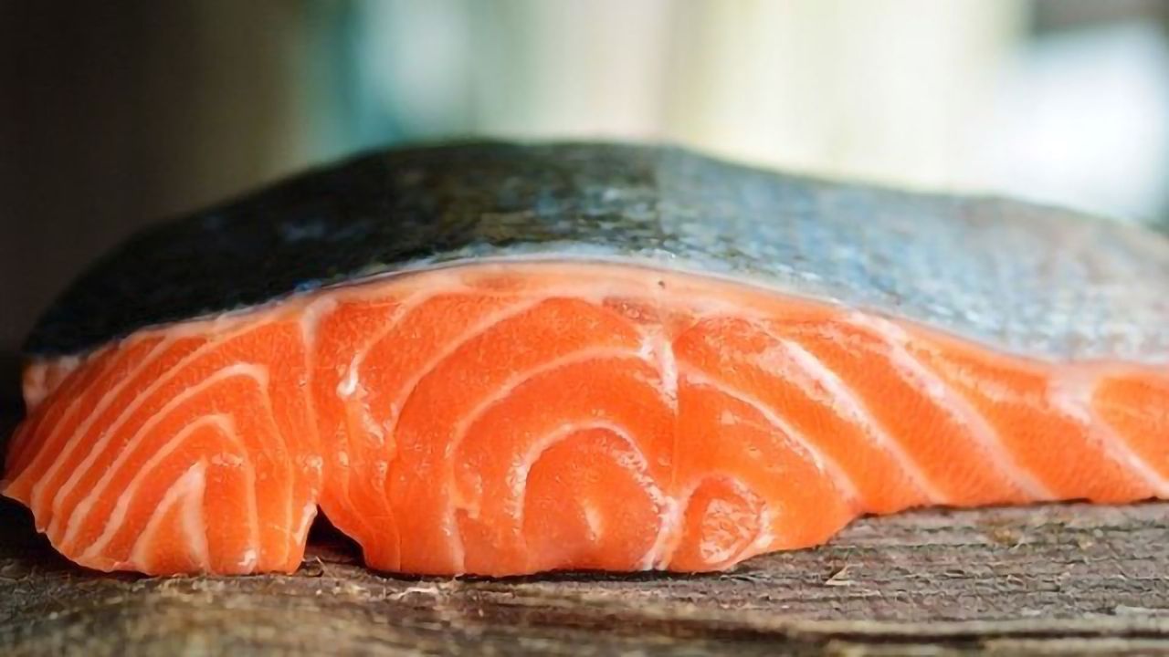 Transparent Labeling Needed for Cell-Based Seafood