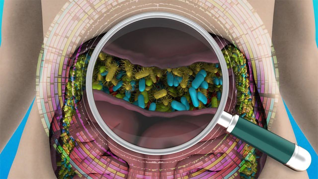 Unrivalled Inventory of the Human Gut Microbiome Created