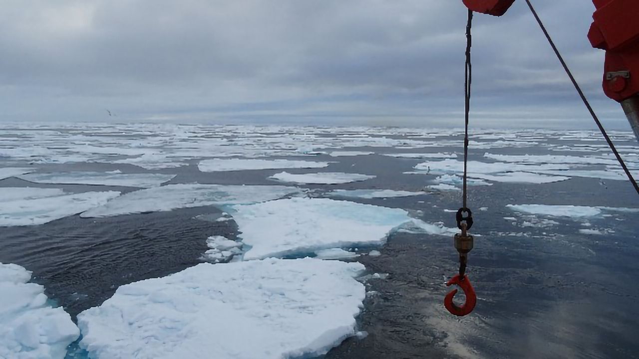 Newer PFAS Are Finding Their Way Into the Arctic