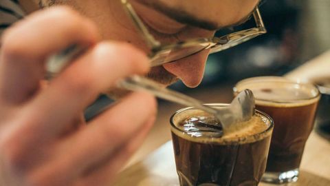 The Brain Creates "Maps" of Smells in the Cortex