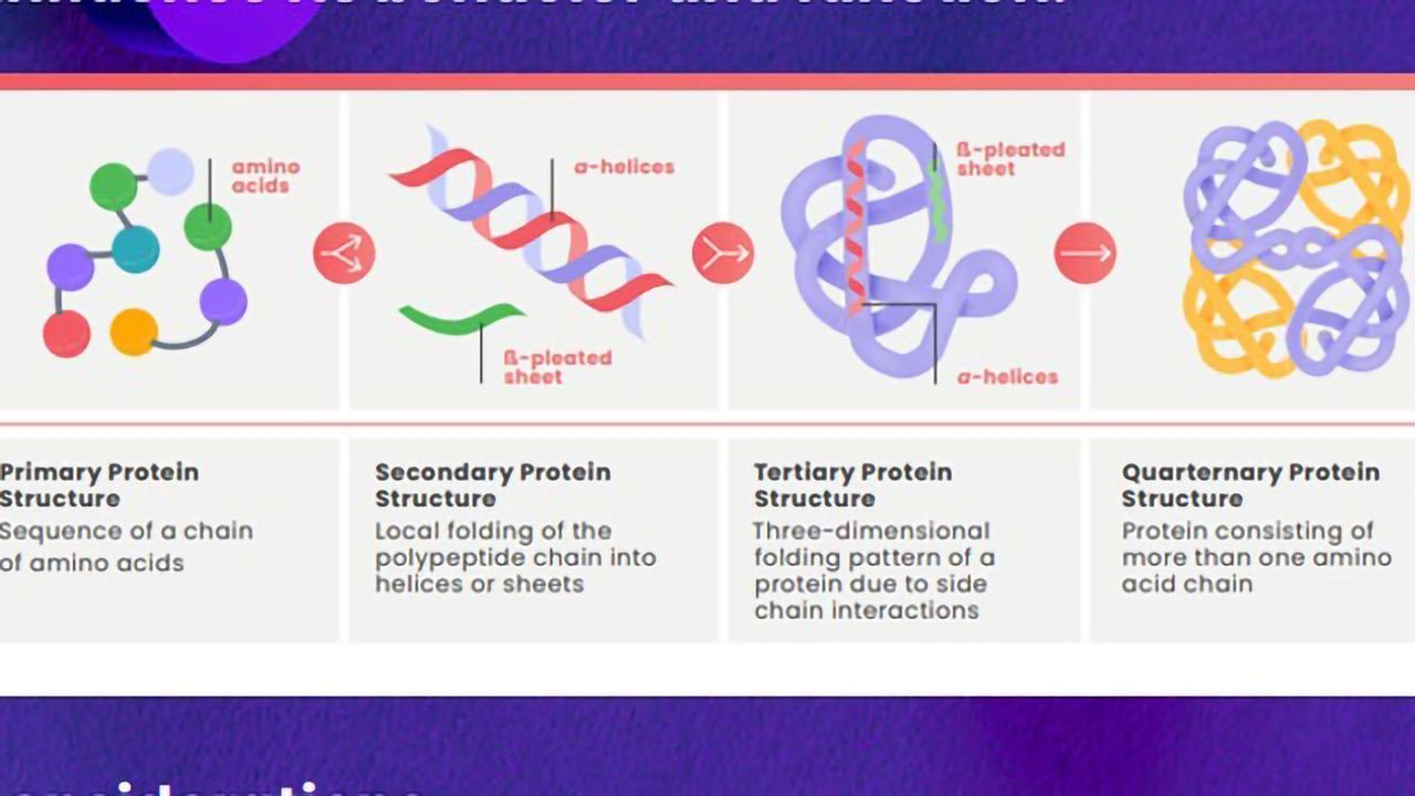 结构生物学