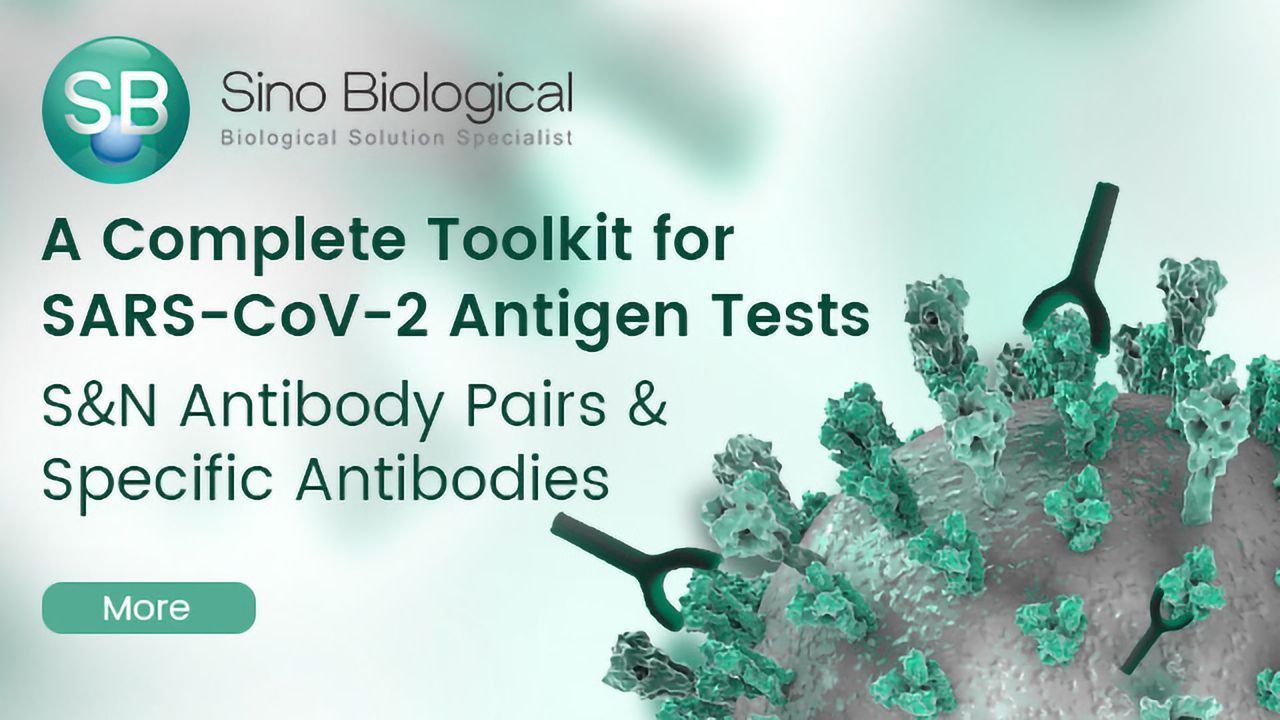 A Complete Toolkit for SARS-CoV-2 Antigen Tests