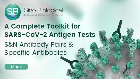 A Complete Toolkit for SARS-CoV-2 Antigen Tests