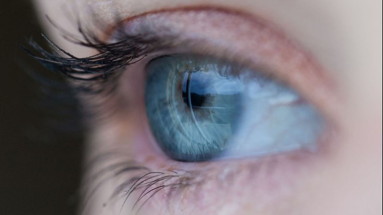 Neural Progenitor Cells Discovered in the Optic Nerve