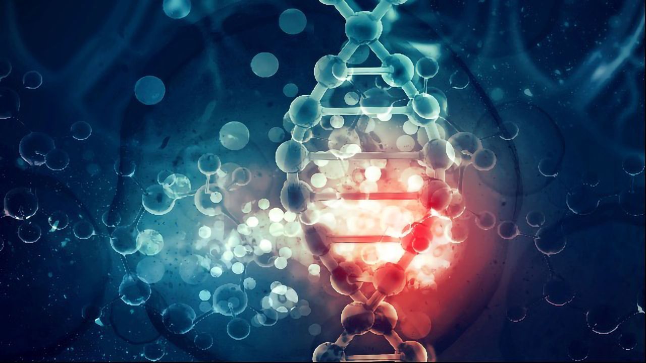 Head and Neck Cancer: Mutant <i>HRAS</i> Is a Key Cancer-Driving Oncogene