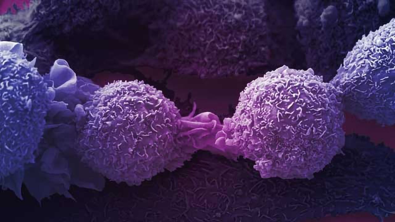 Building Better Cell Lines