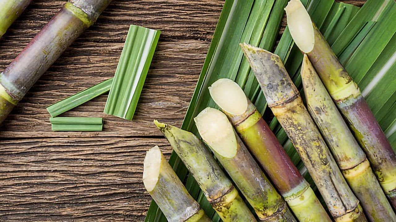 Sustainability Challenges for One of the World's Largest Sugar Industries