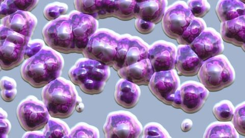 How Bacteria Protect Themselves With Slime in Changing Temperatures