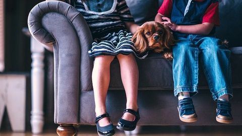 Body and Brain Age Faster After Childhood Trauma