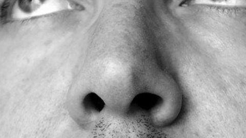 Nose Study Sniffs Out the Origins of Parkinson's Disease