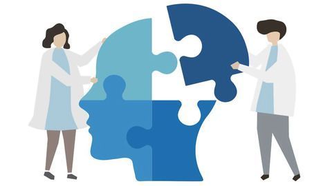 Humans, Mice and Flies All Build Their Brains Using the Same Genetic Mechanisms