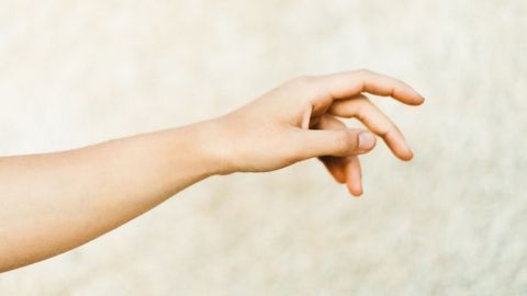 FMR1 Premutation Carriers Show Brain Connectivity Reductions
