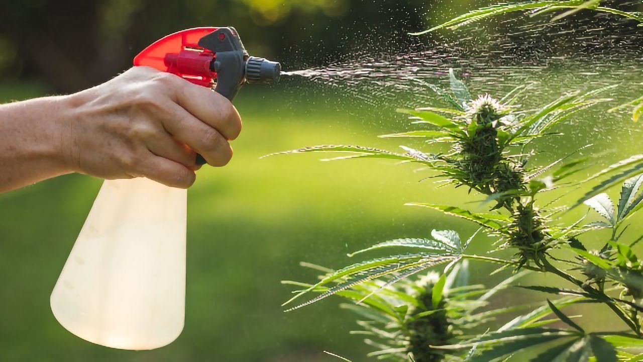 Advances in Pesticide Residue Analysis