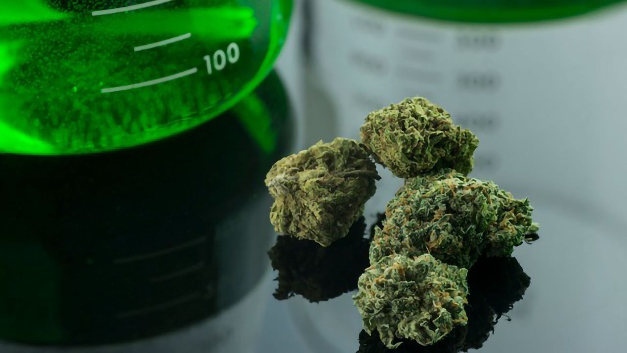 The Evolution of Cannabis Testing