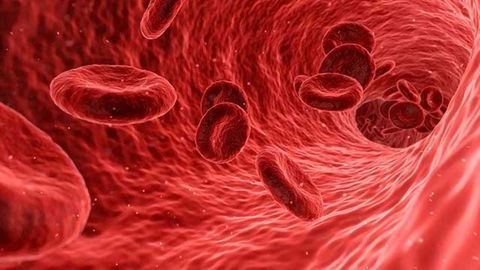 Team Develops Synthetic Blood-Thinner With No Bleeding Side Effects