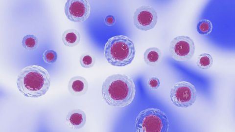 How a Protein Protects Cells From Death
