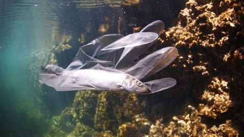 Ocean Plastic Problem Not Solved by Surface Clean-Up