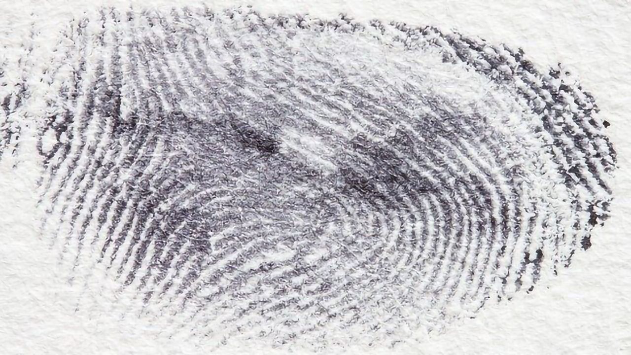 Forensic Science at Your Fingertips