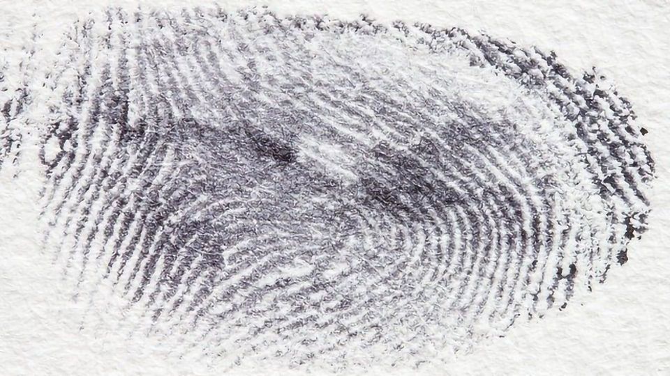 Forensic Science at Your Fingertips content piece image