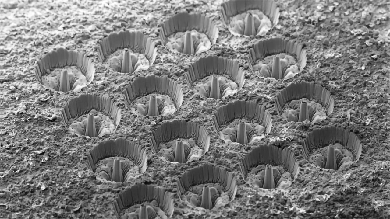 ZEISS Presents New Products and Solutions at Microscopy & Microanalysis 2020 Virtual Meeting