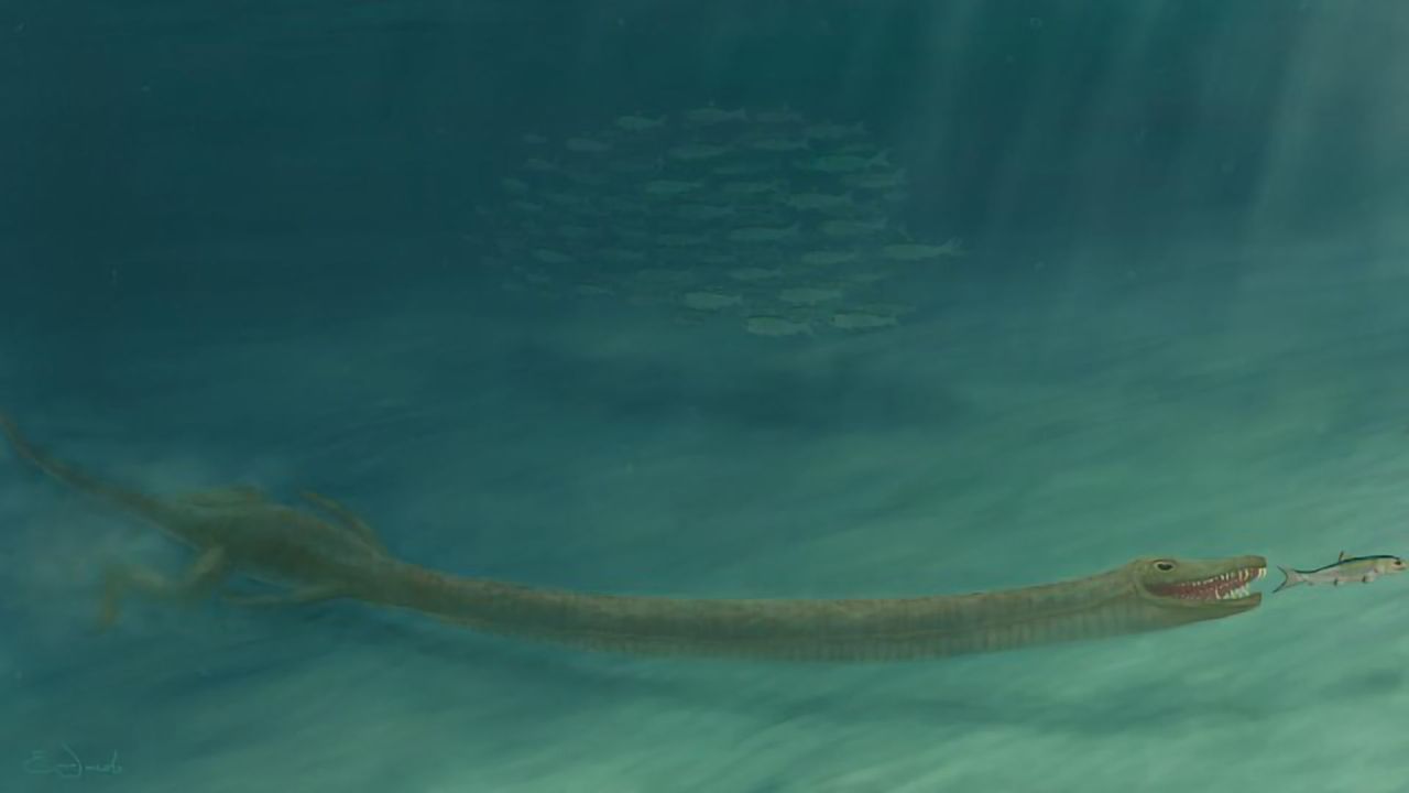 Fossil Mystery of the Super-Long-Necked Reptiles Solved