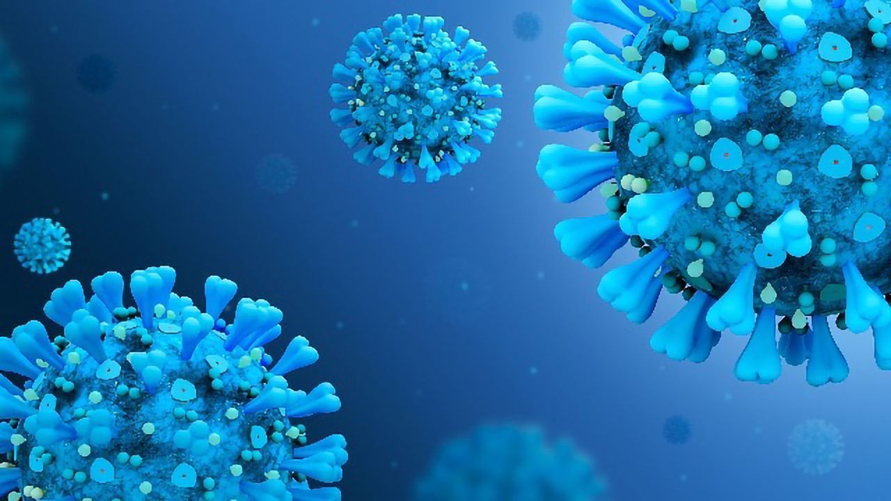 Can We Fool SARS-CoV-2 With a Decoy Receptor for Cell Entry?