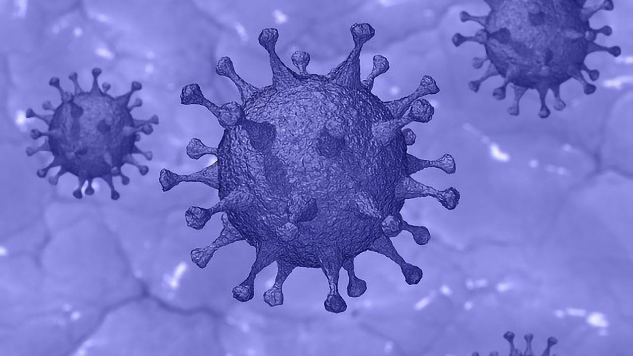 Mass Spectrometry Shows Potential for Rapid SARS-CoV-2 Detection