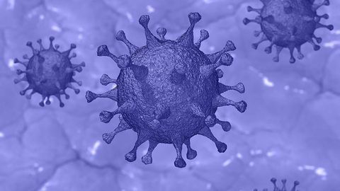 Mass Spectrometry Shows Potential for Rapid SARS-CoV-2 Detection