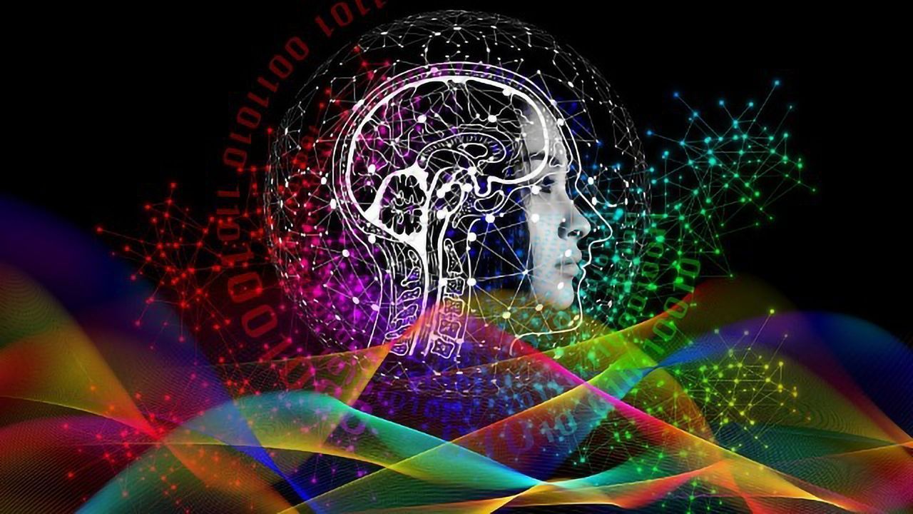 Math Shows How the Brain Stays Stable Amid Internal Noise and a Widely Varying World